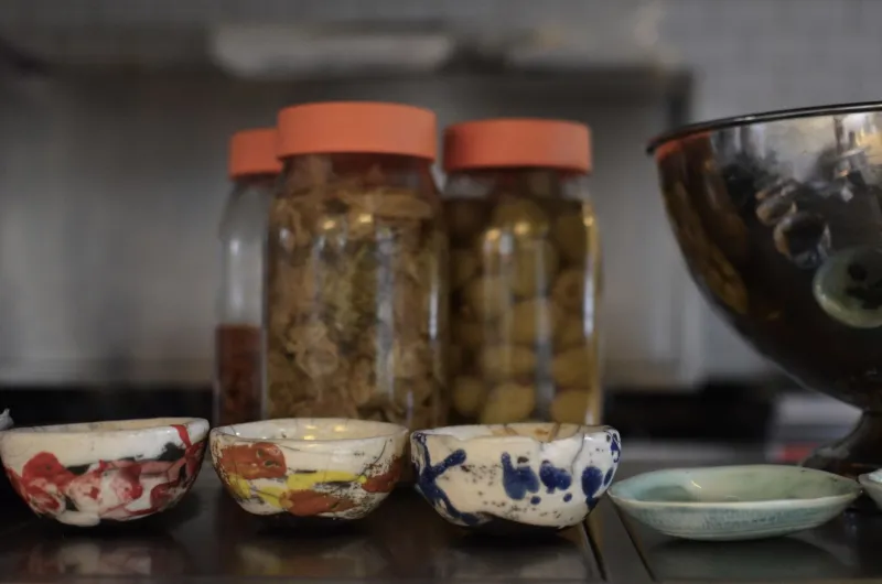 Crocks, Cultures, and Counterculture: America's DIY Fermentation Revolution
