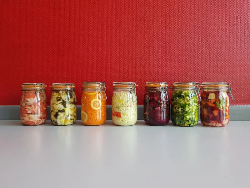 Meet the Home Fermenters Building Living Libraries One SCOBY at a Time